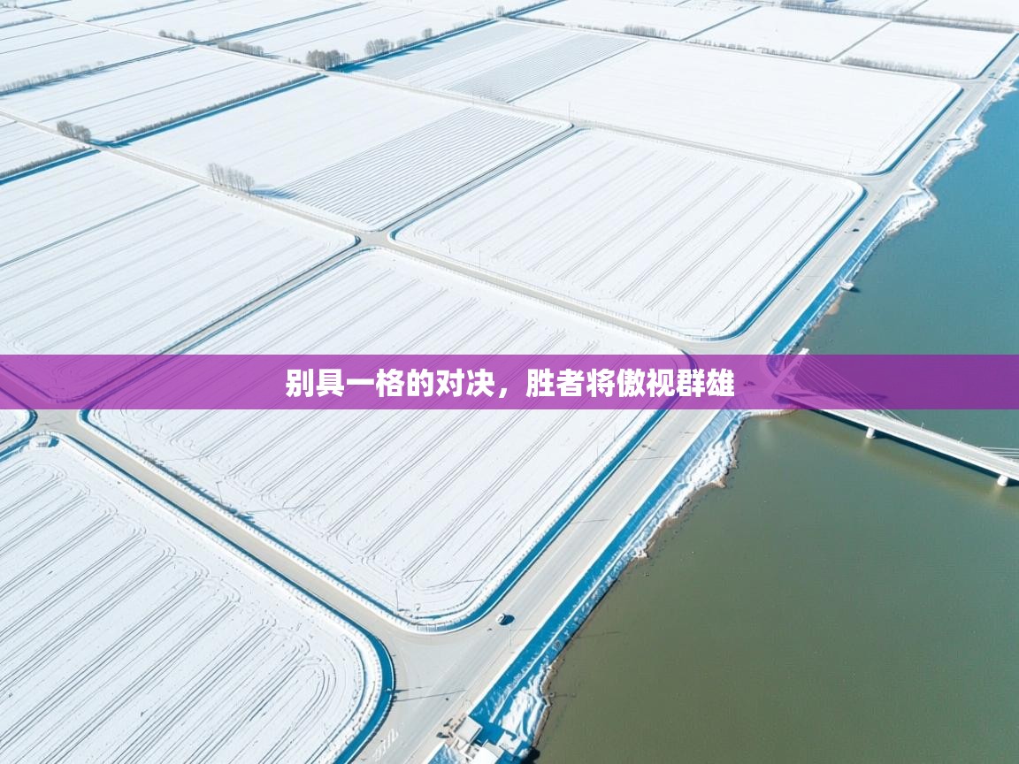 别具一格的对决,胜者将傲视群雄 第1张