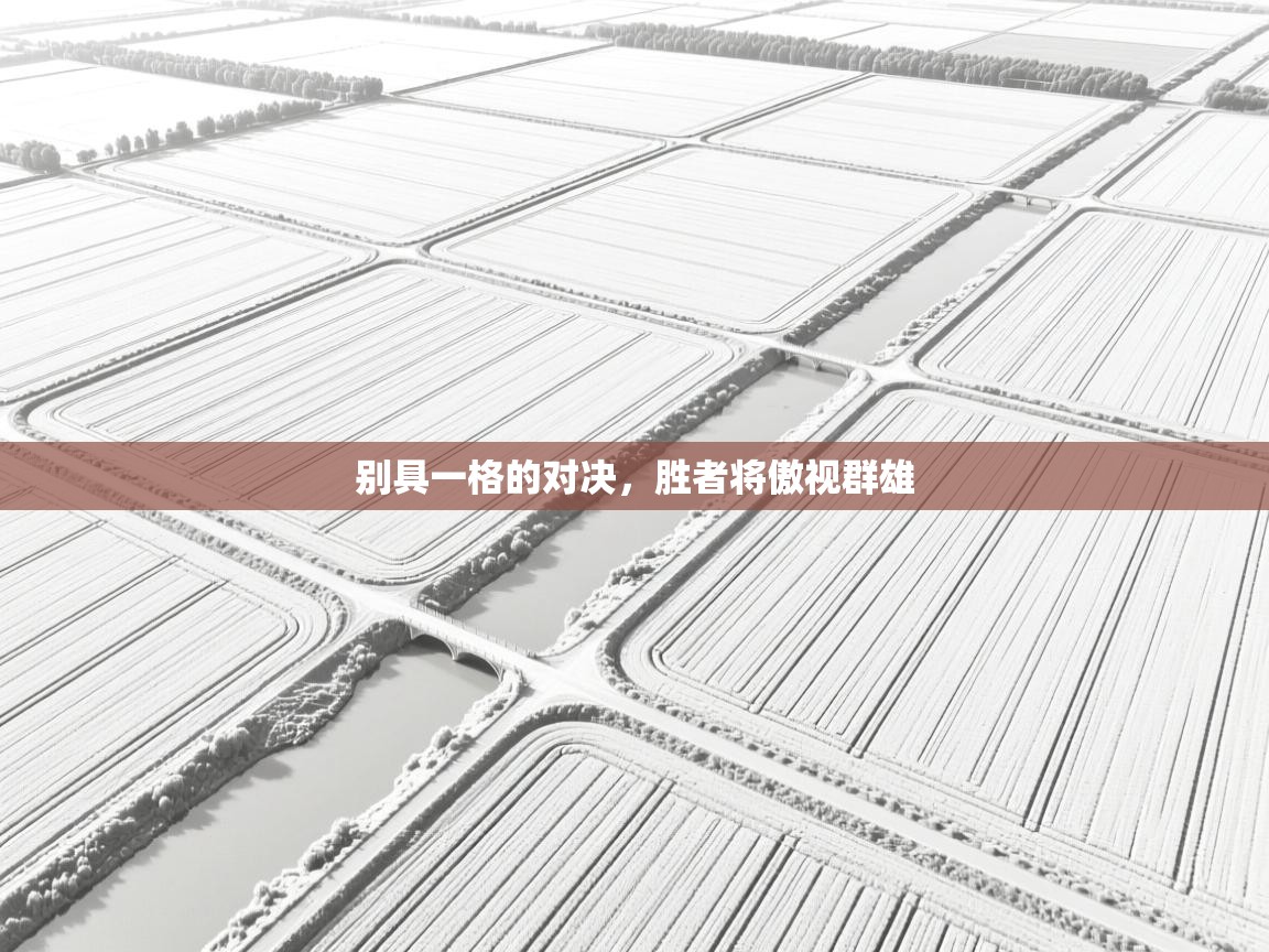 别具一格的对决,胜者将傲视群雄 第2张