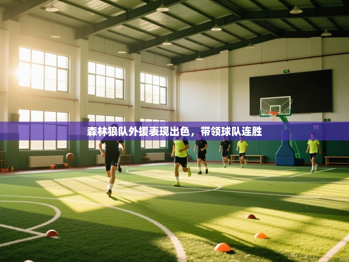 森林狼队外援表现出色，带领球队连胜