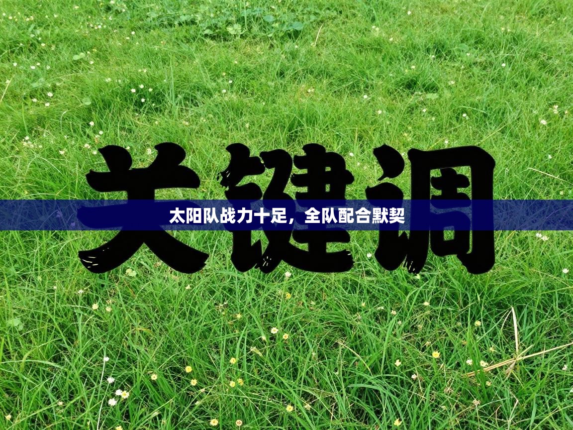 太阳队战力十足，全队配合默契  第1张