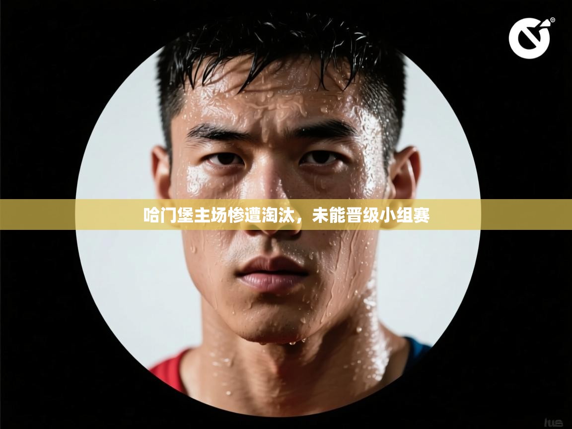 哈门堡主场惨遭淘汰，未能晋级小组赛  第2张