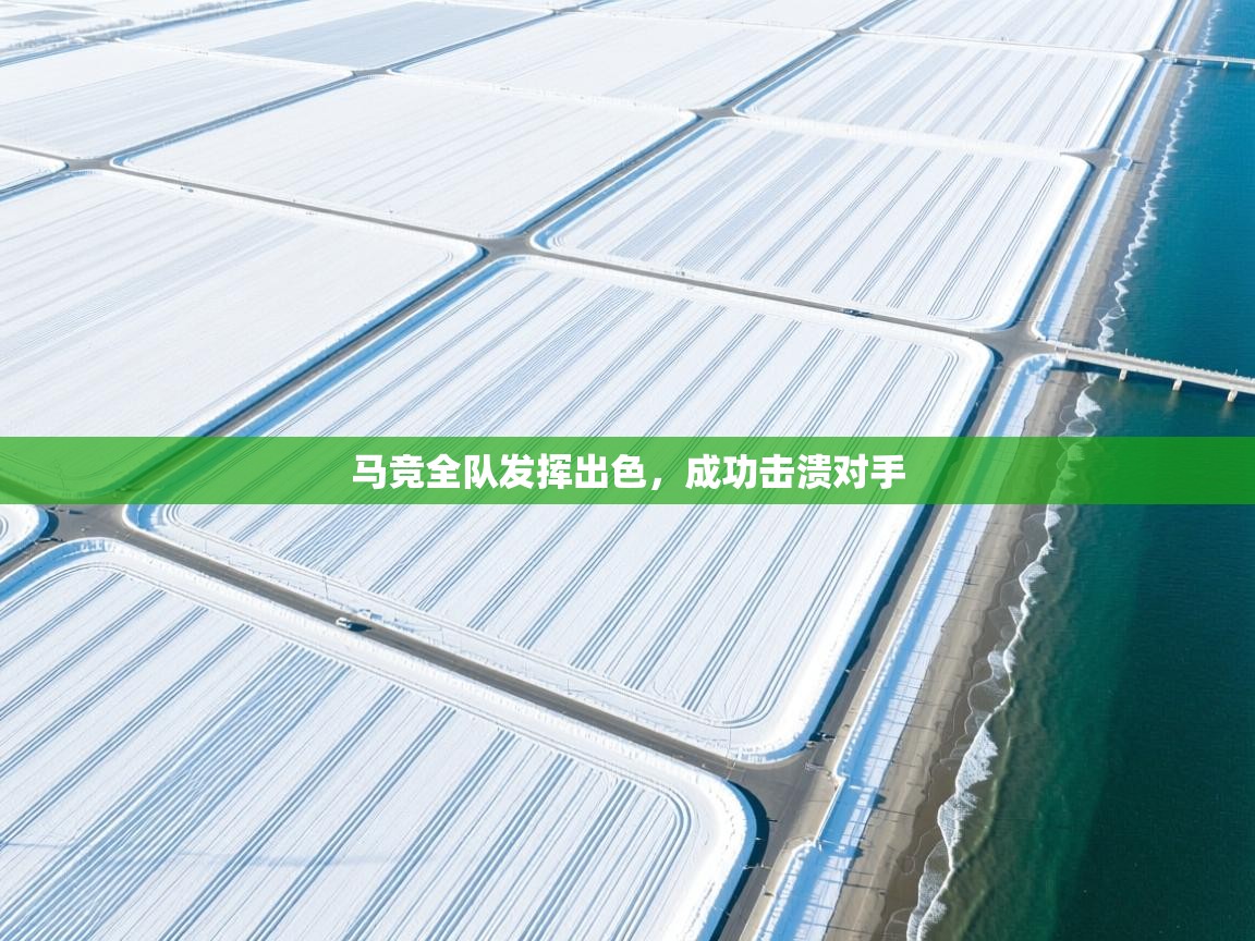 马竞全队发挥出色,成功击溃对手 第1张