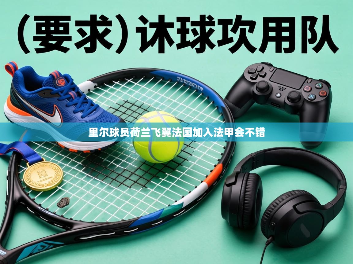 里尔球员荷兰飞翼法国加入法甲会不错 第1张