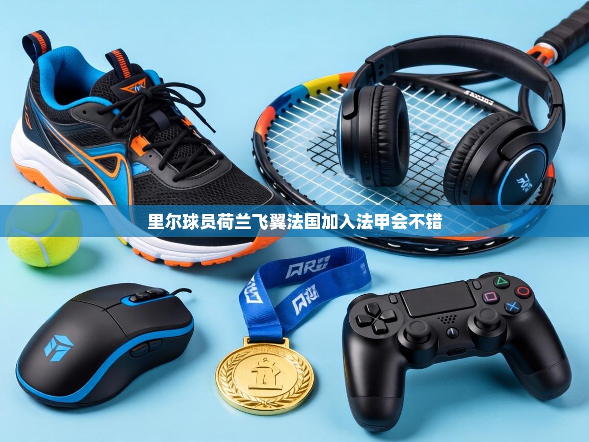 里尔球员荷兰飞翼法国加入法甲会不错 第2张